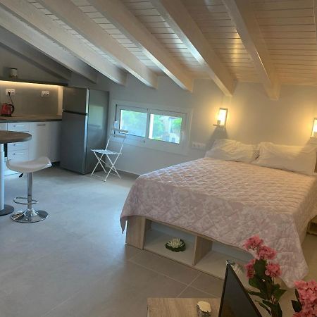 דאסיה Terpsichore Boutique Bright New Sofita Studios And Appartment מראה חיצוני תמונה