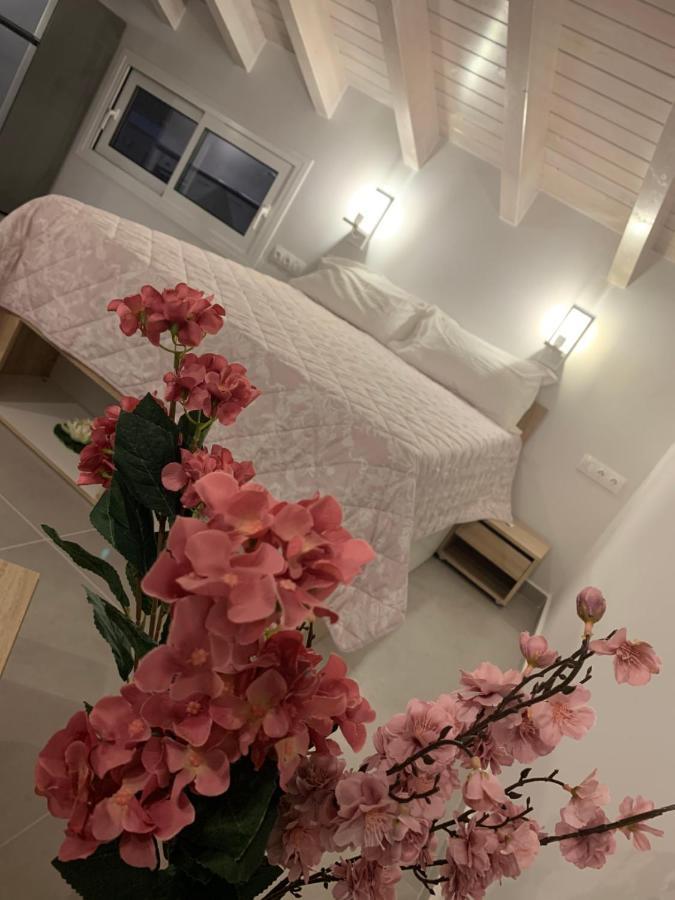 דאסיה Terpsichore Boutique Bright New Sofita Studios And Appartment מראה חיצוני תמונה