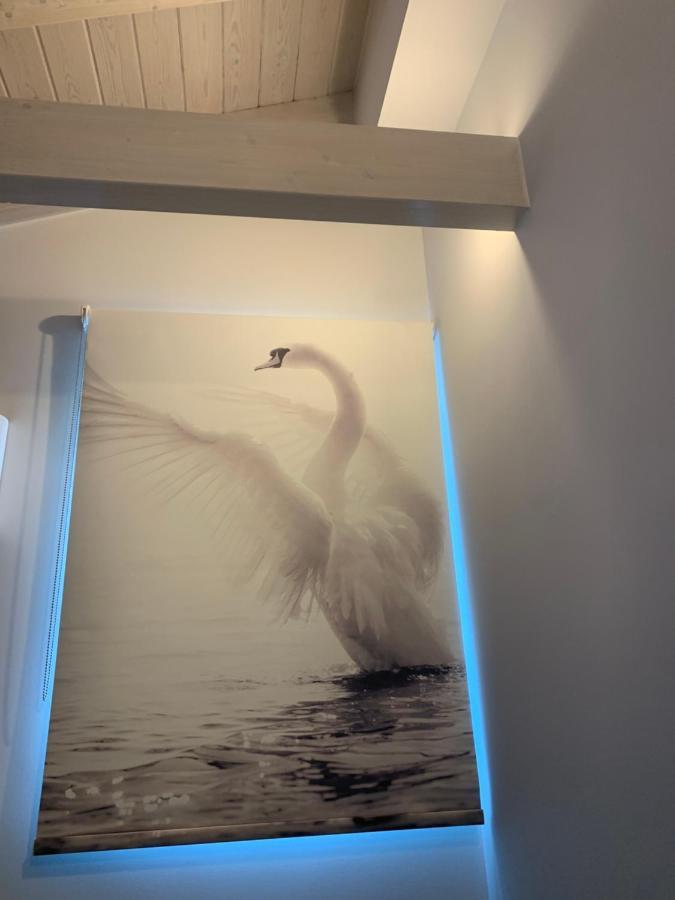 דאסיה Terpsichore Boutique Bright New Sofita Studios And Appartment מראה חיצוני תמונה